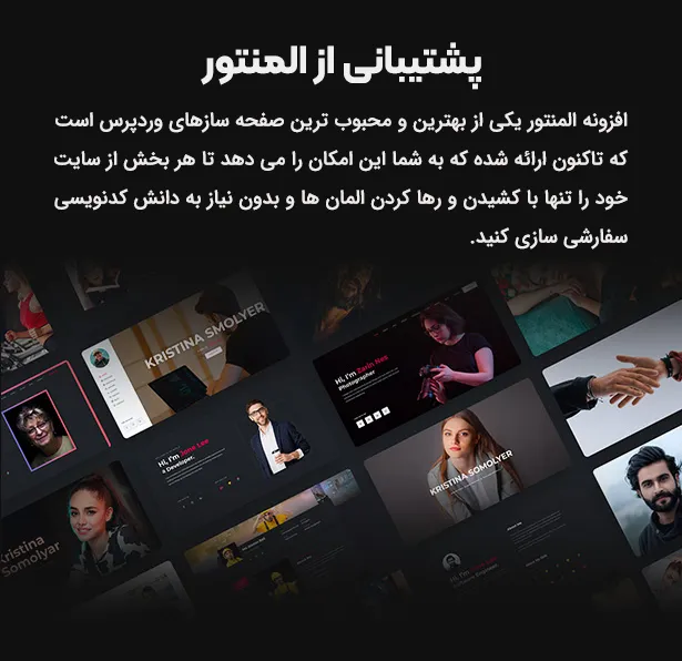 پوسته نمونه کار، رزومه و شخصی این بیو