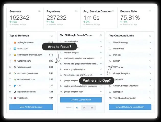 افزونه MonsterInsights