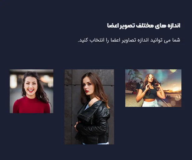 افزونه Team Grid 
