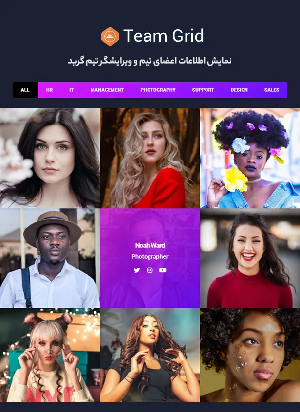 افزونه Team Grid 