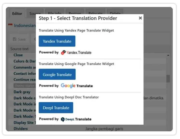 افزونه Loco Translate Pro 