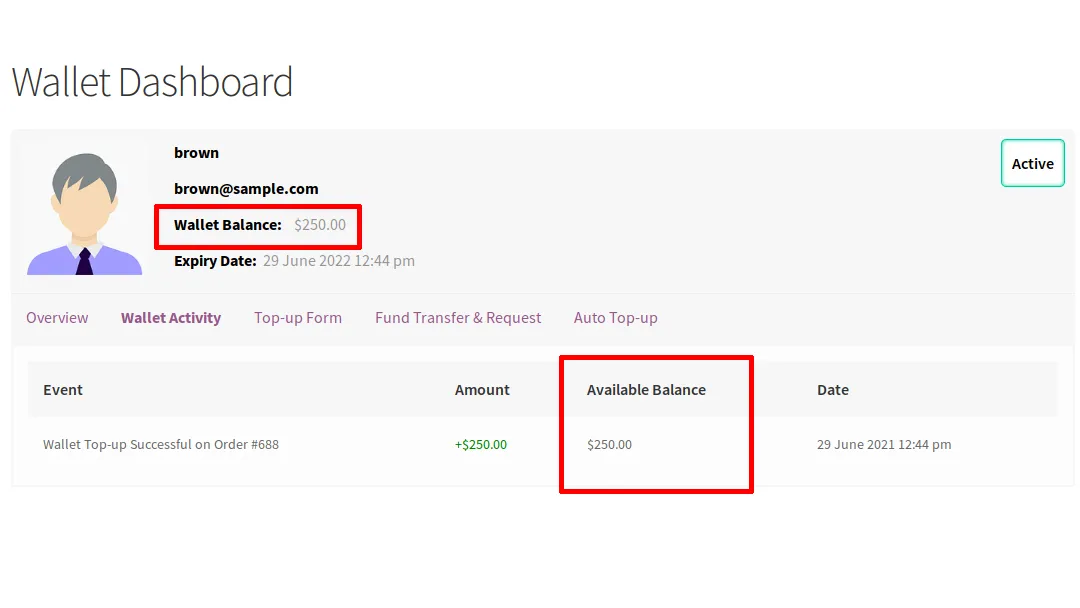 افزونه Wallet for WooCommerce