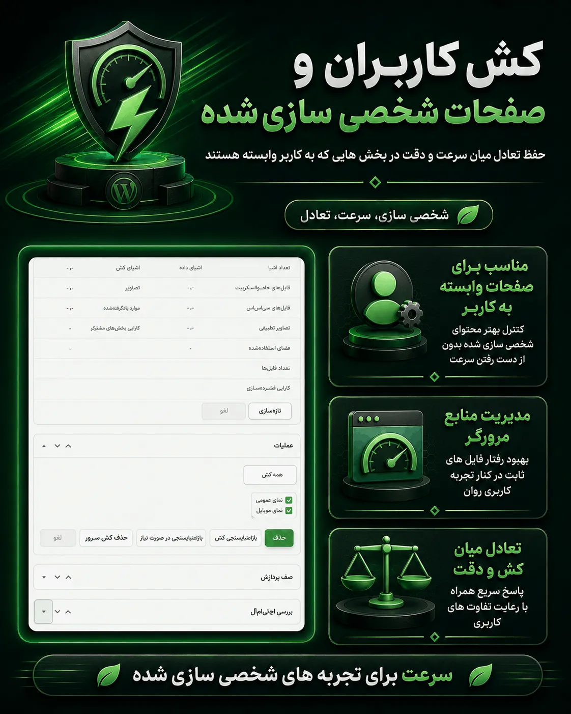 Remote Optimization نسخه Full افزونه Seraphinite Accelerator