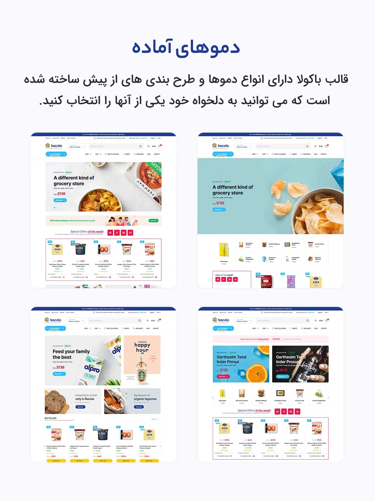 قالب Bacola 