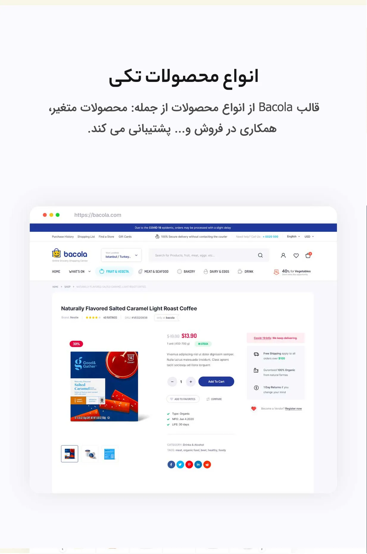 قالب Bacola 