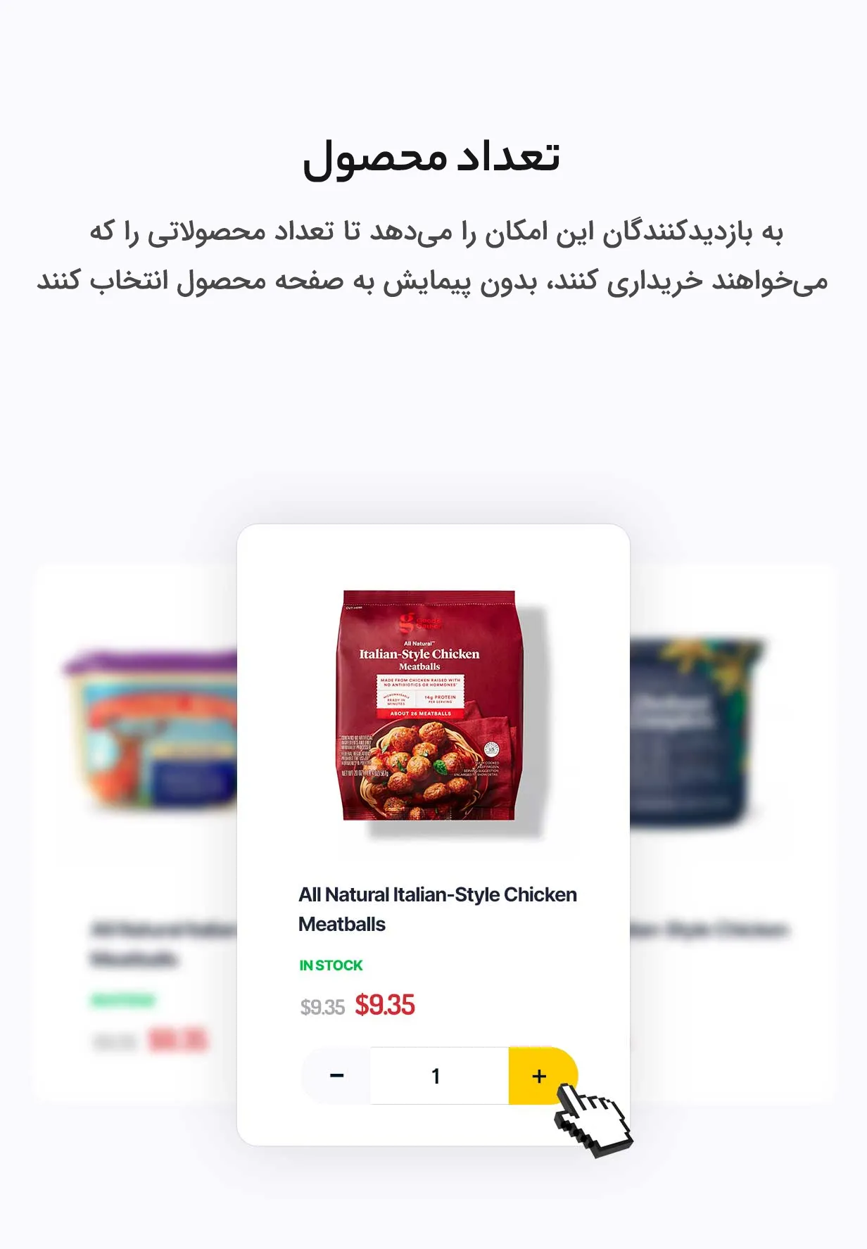 قالب Bacola 