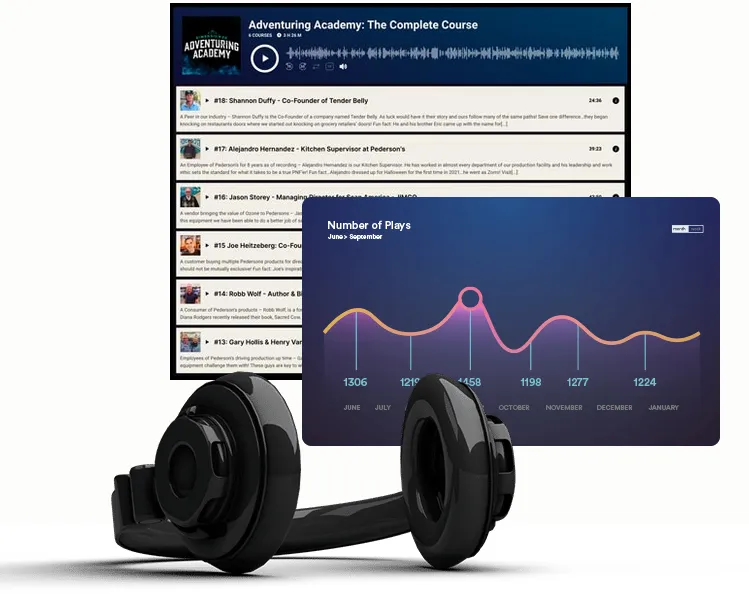 افزونه MP3 Music Player Pro