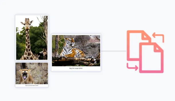 افزونه WP Portfolio Pro