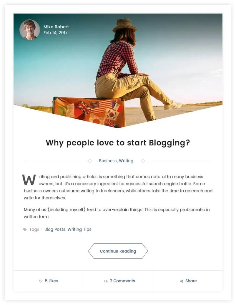 افزونه Blog Designer Pro 