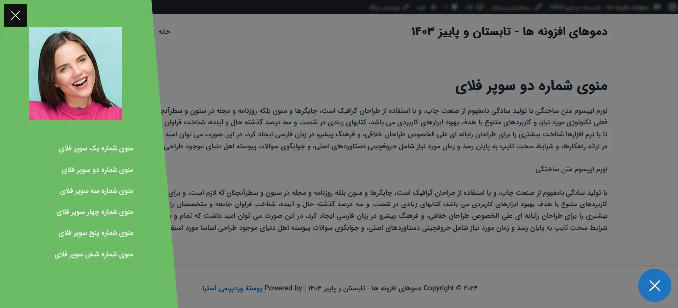 منوی شماره دو