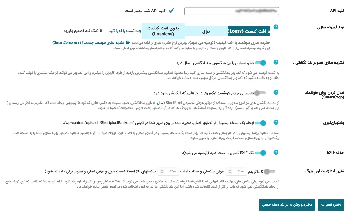 تنظیمات اصلی افزونه